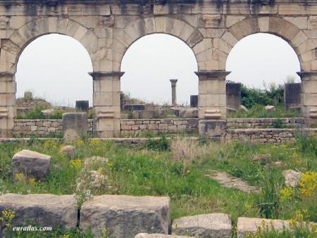 ===========volubilis___protique==============