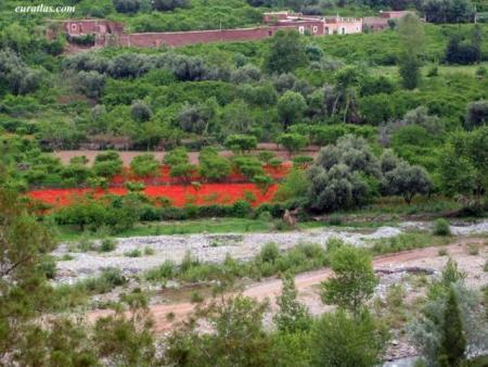 ========ourika village