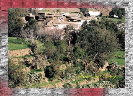 tamazigh