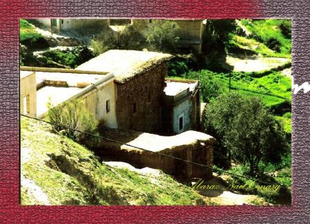 tamazight